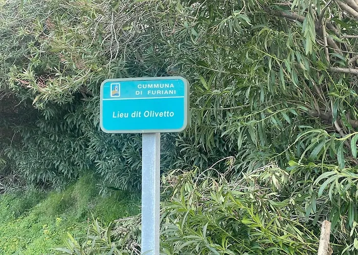 Hébergement de vacances Superbe Neuve Avec Piscine -vue Mer-furiani *